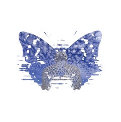 Immagino di essere stato io