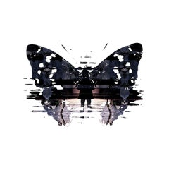 Invisible