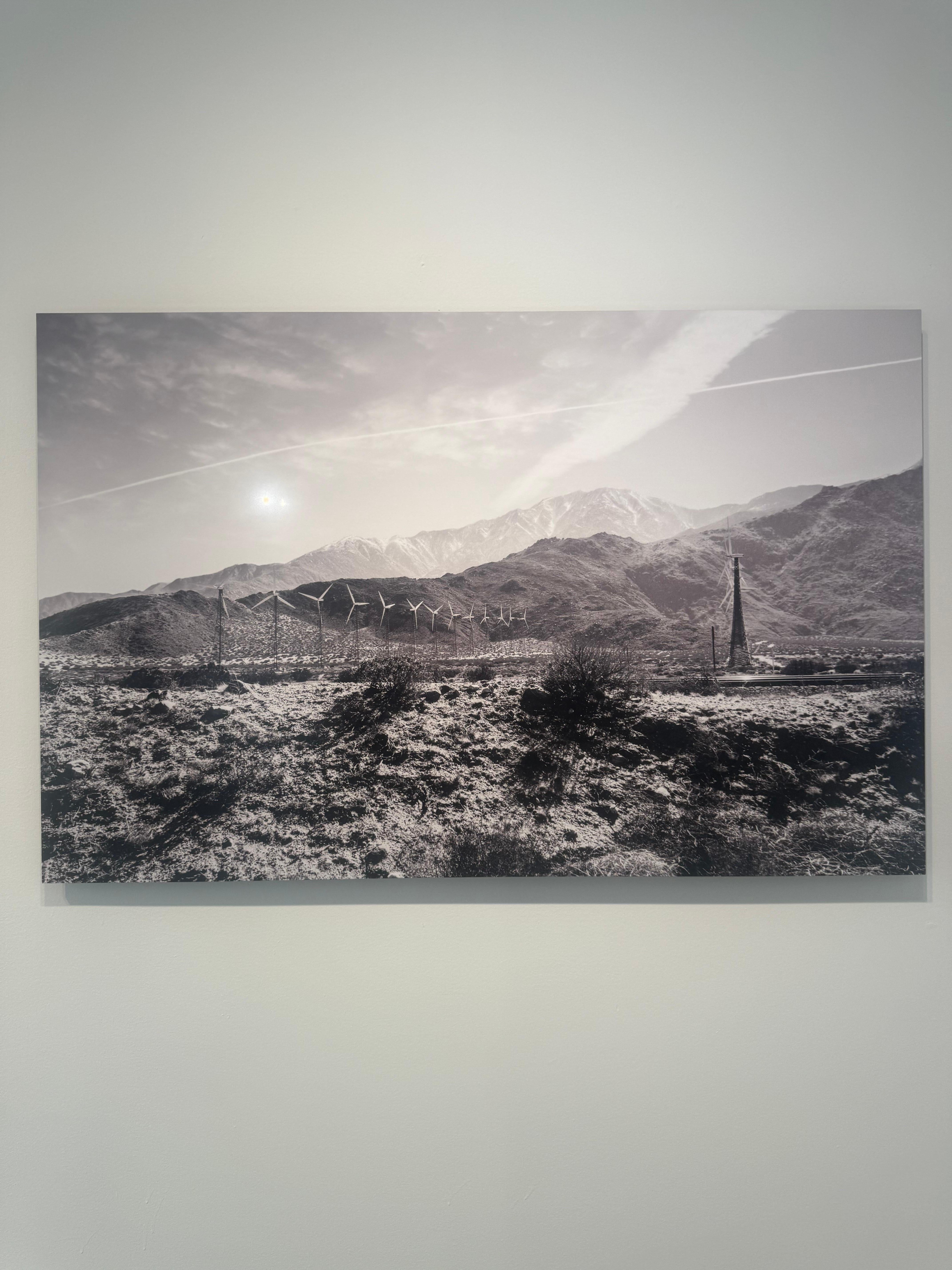 Joshua Tree #2 - Photograph by Julian Lennon