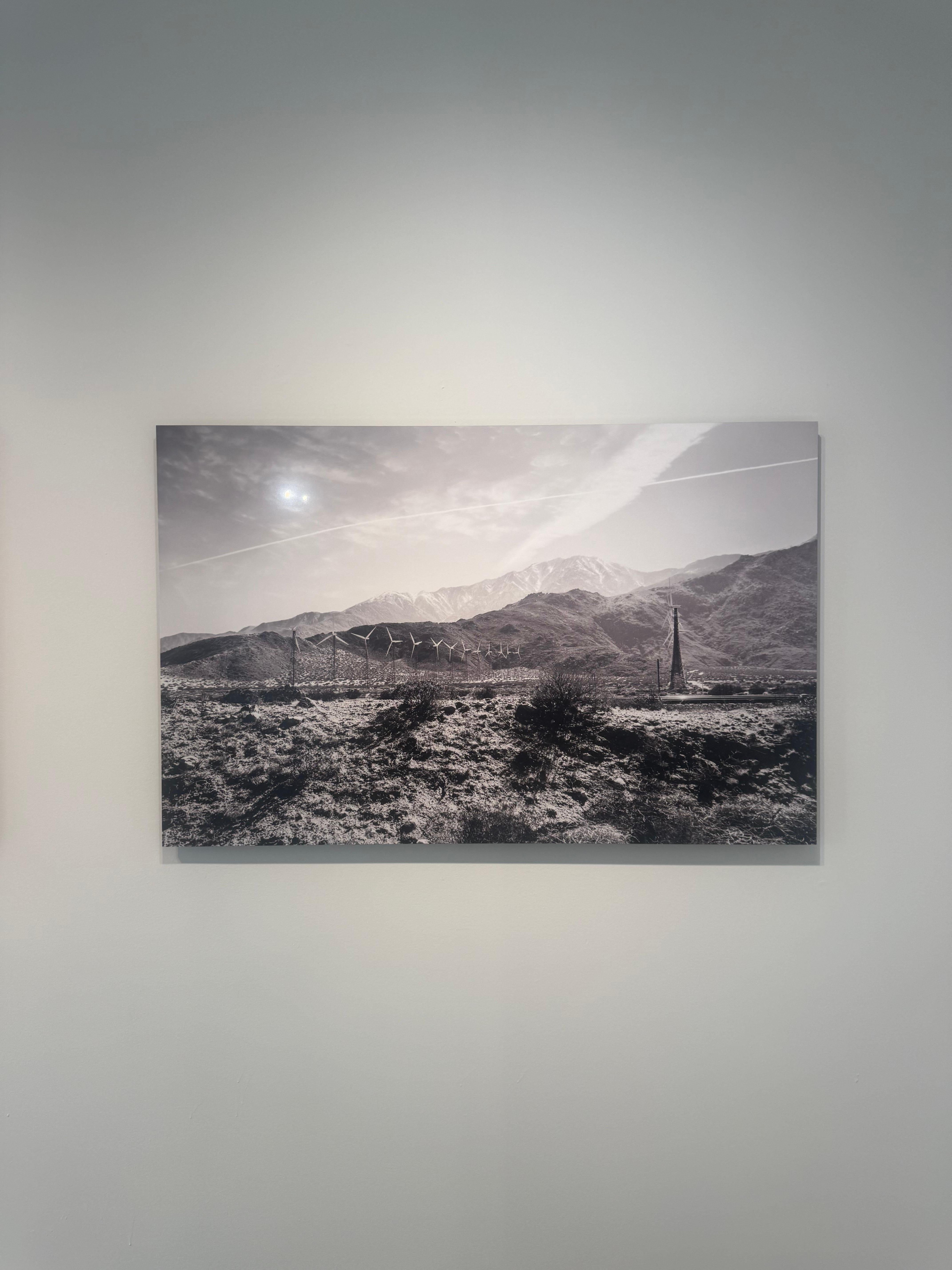 Joshua Tree #2 - Contemporary Photograph by Julian Lennon
