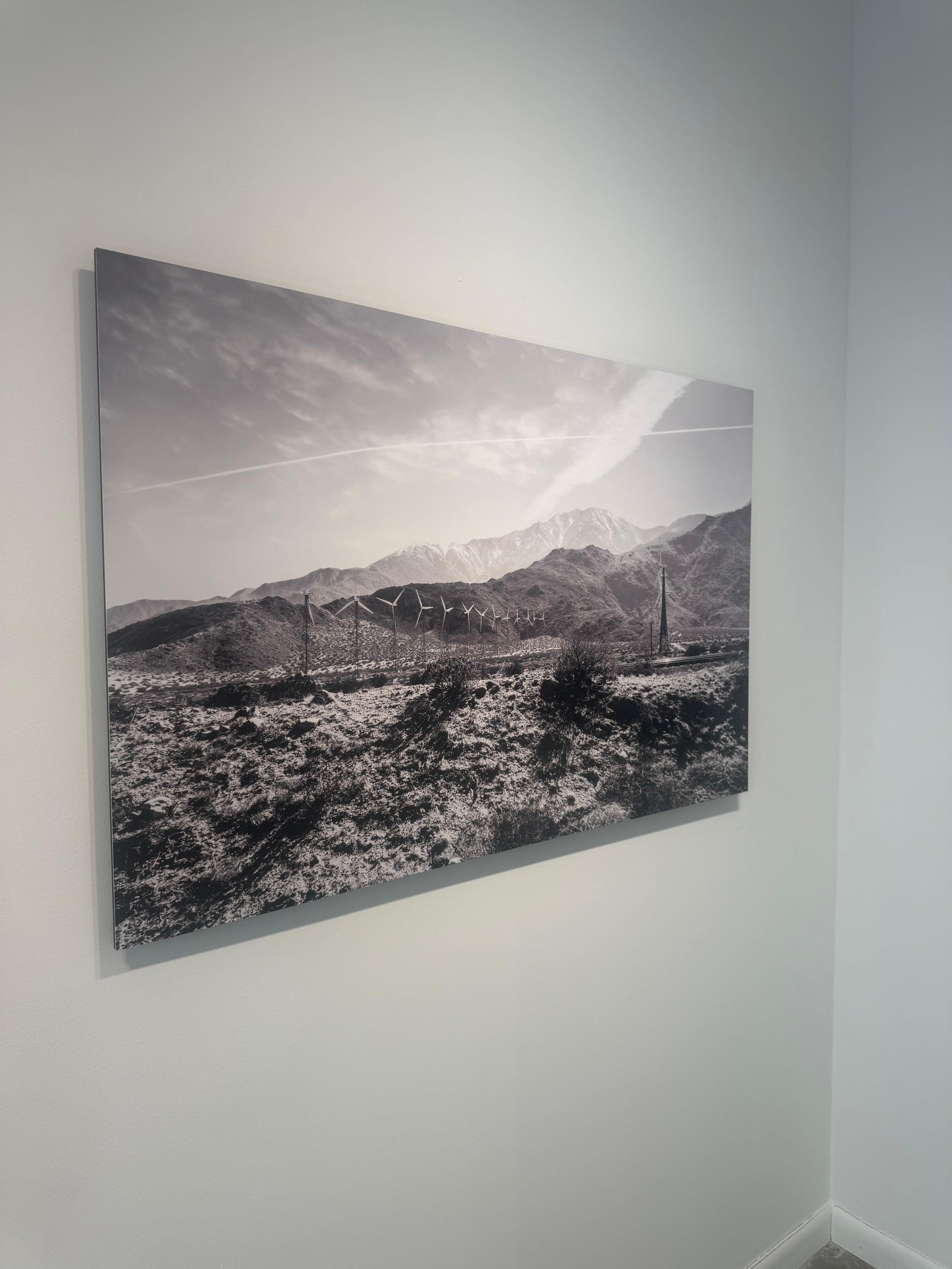 Joshua Tree #2 - Gray Black and White Photograph by Julian Lennon