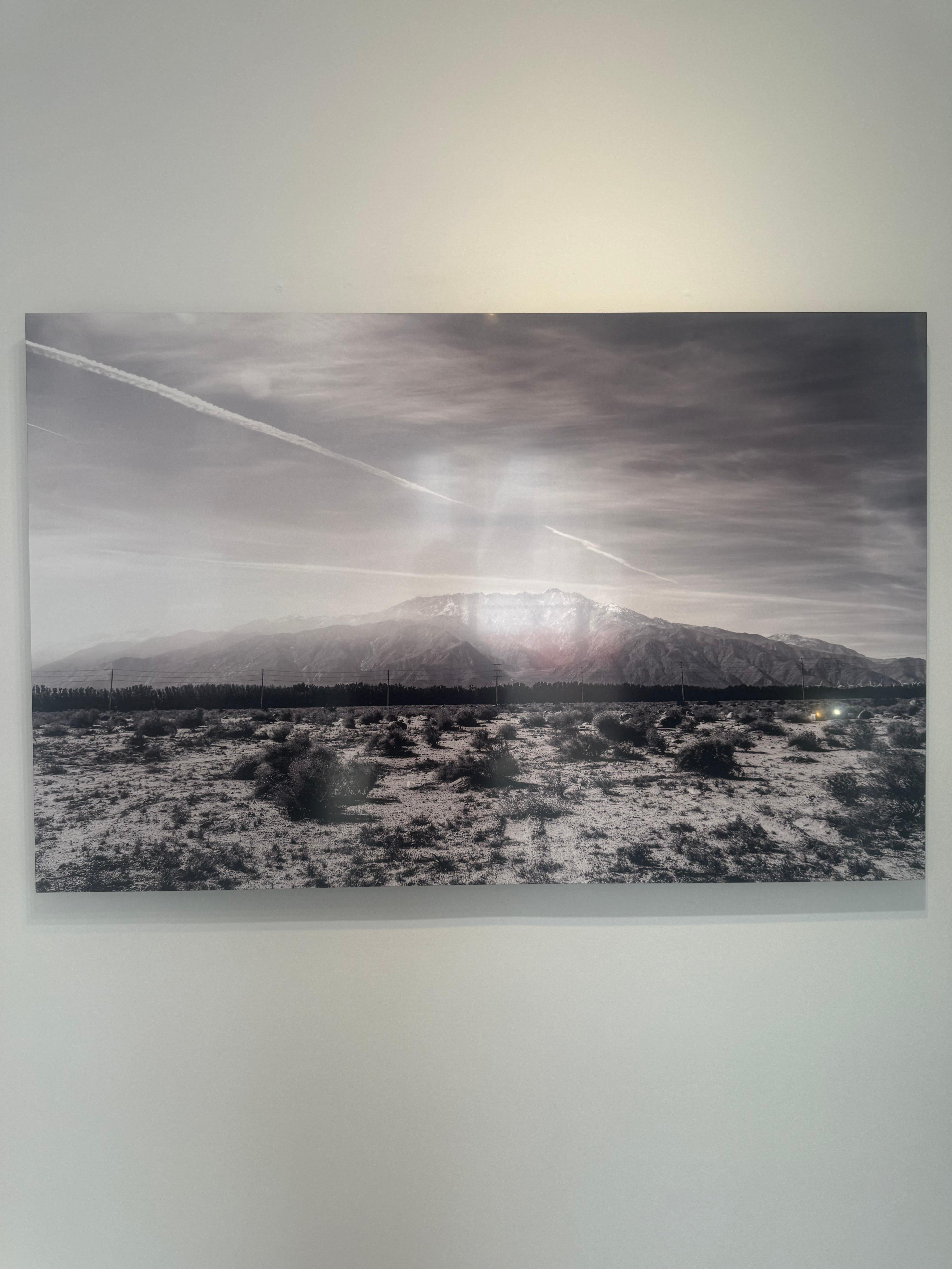 Joshua Tree #4 - Photograph by Julian Lennon