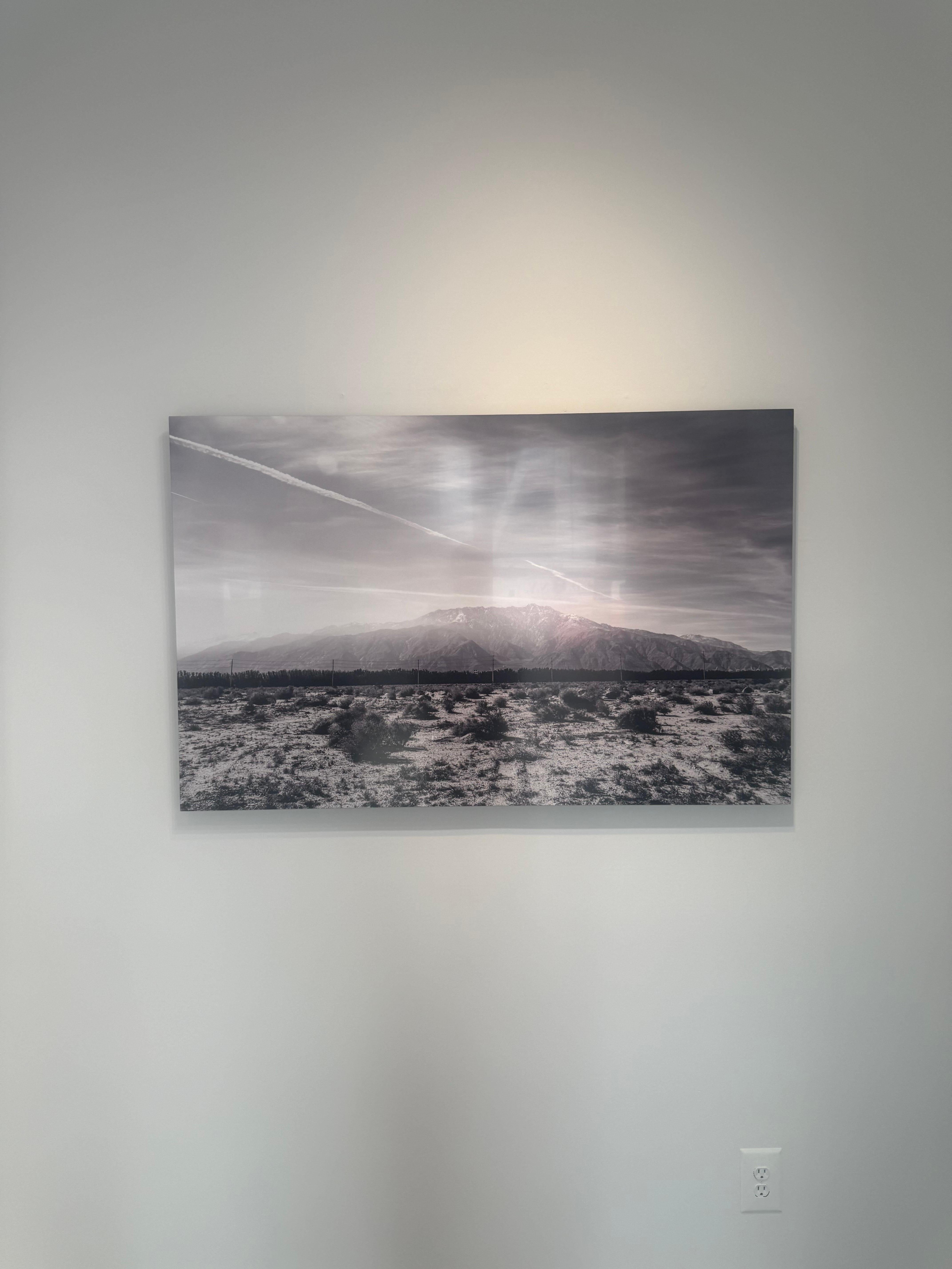 Joshua Tree #4 - Contemporary Photograph by Julian Lennon
