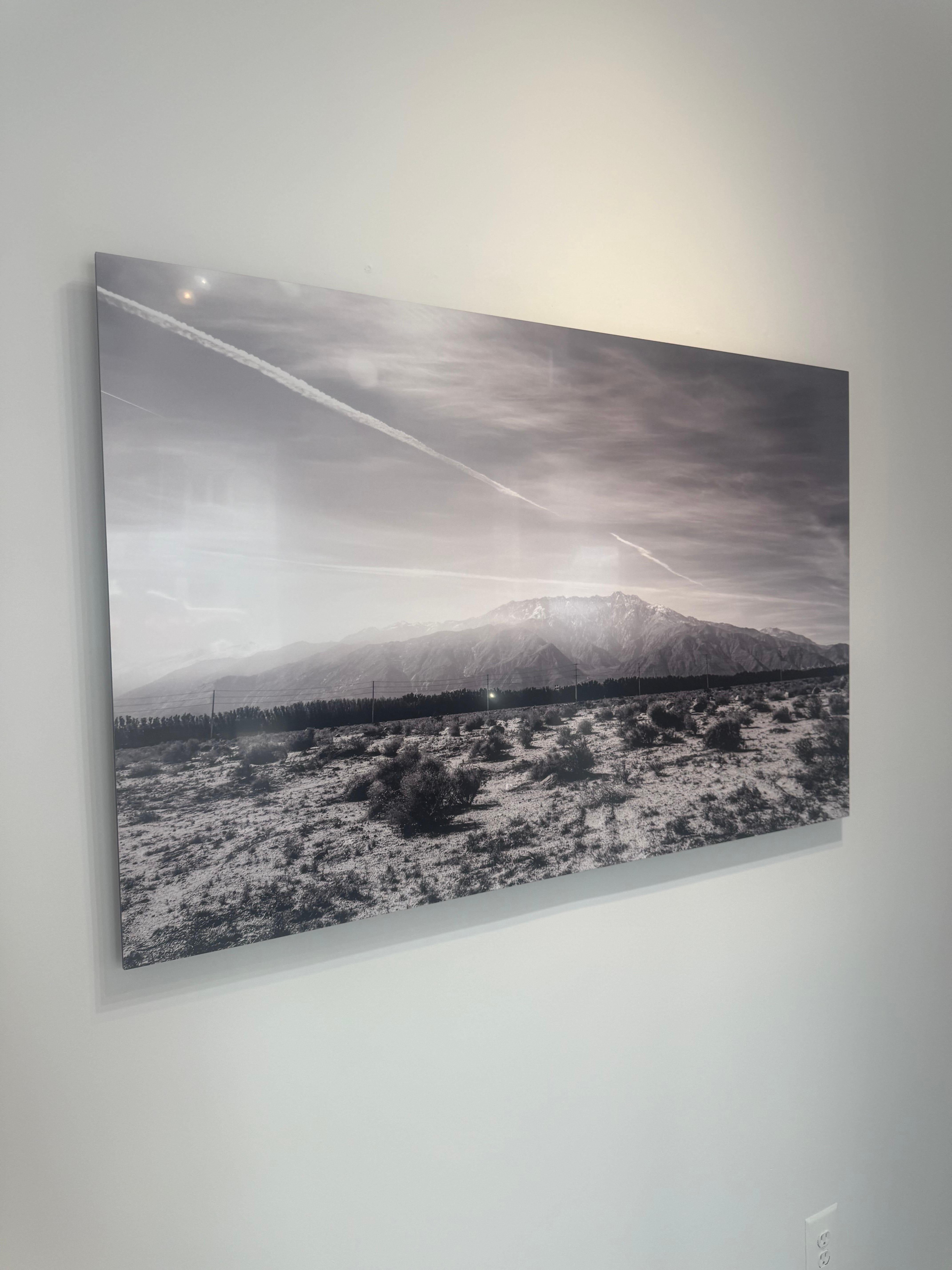 Joshua Tree #4 - Gray Black and White Photograph by Julian Lennon
