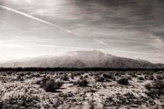 Joshua Tree #4