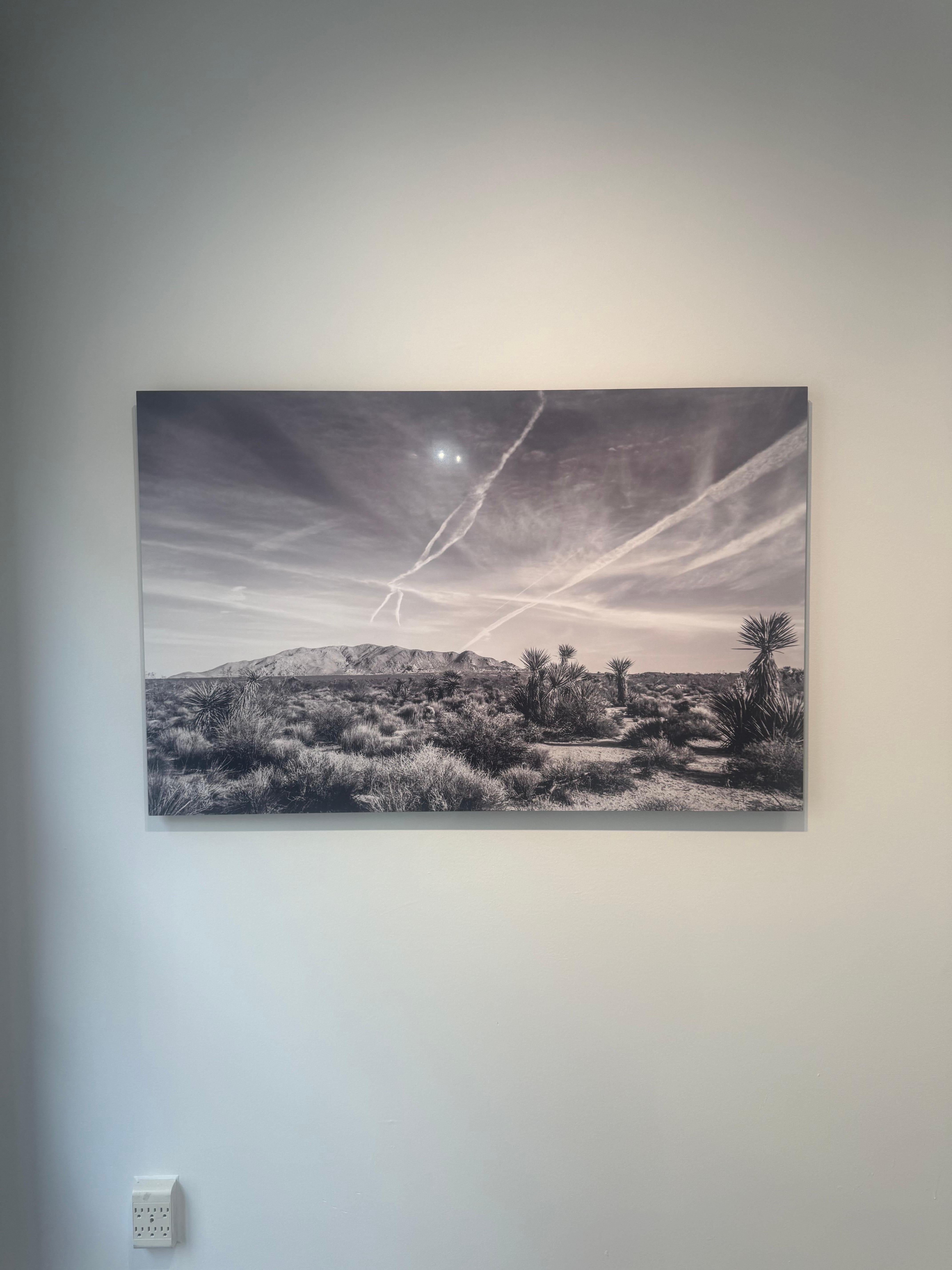 Joshua Tree #9 - Contemporary Photograph by Julian Lennon