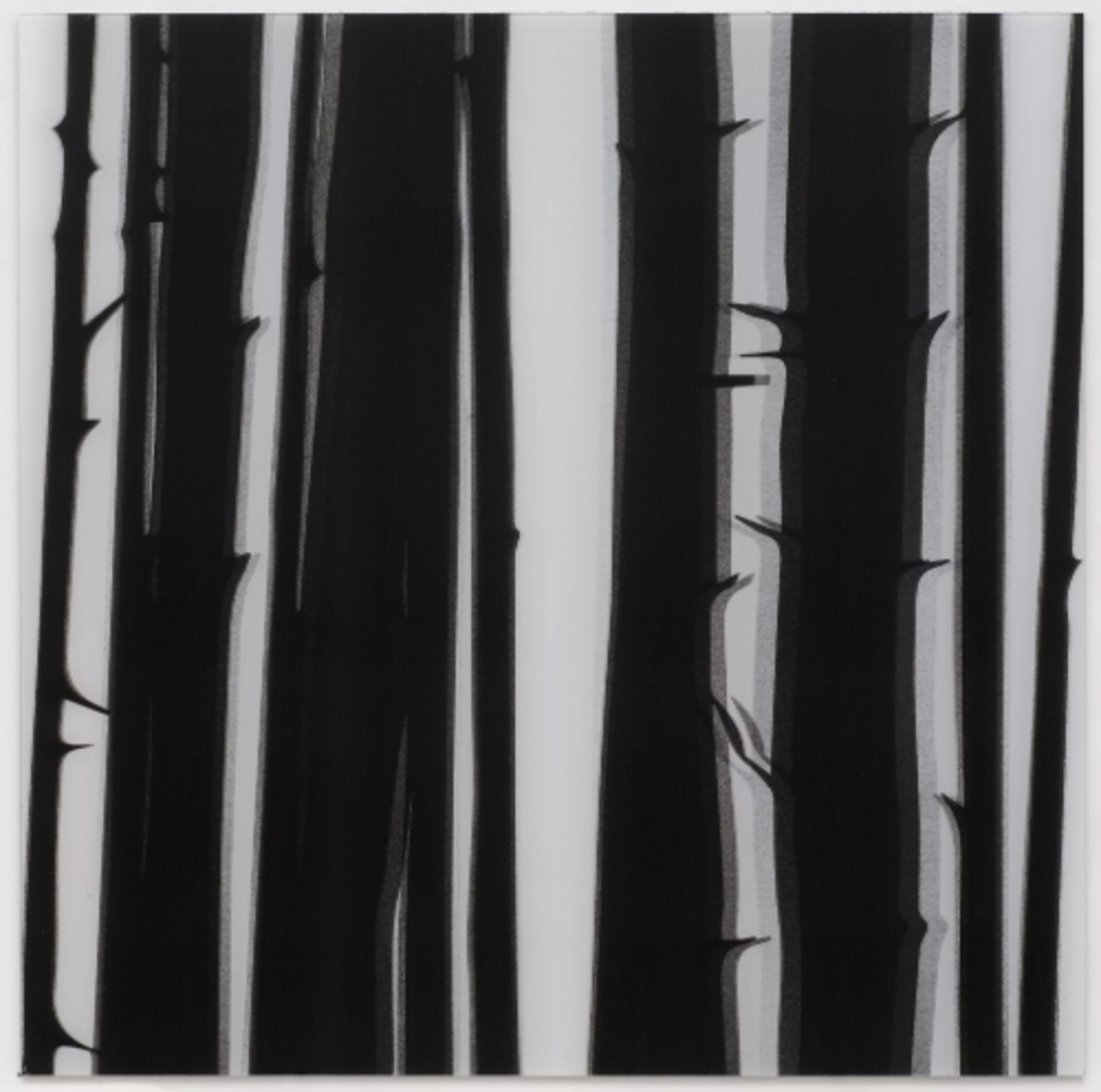 Forest - Print by Julian Opie