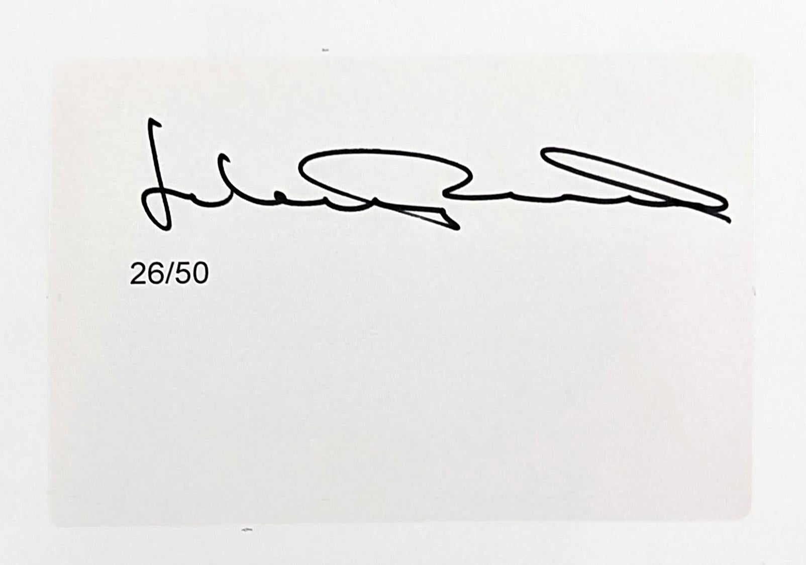 IMMAGINA DI GUIDARE (VELOCEMENTE) OLIVER - Print di Julian Opie