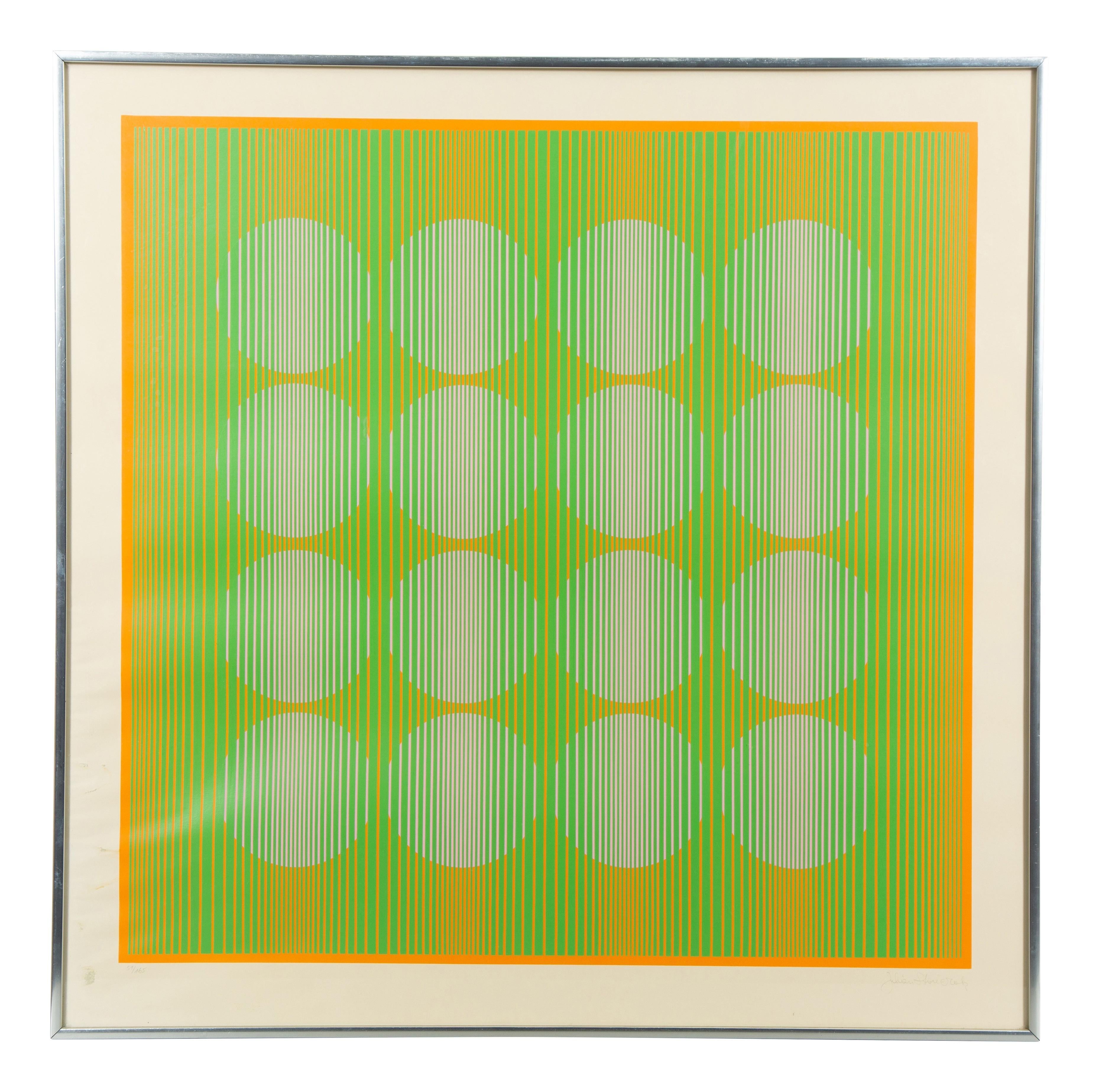 Julian Stanczak Abstract Print - 16 Green Circles from the Eight Variants series, 1970
