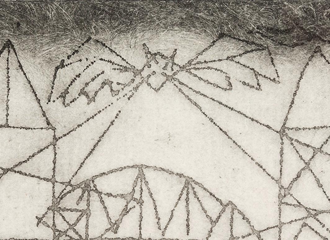 Tenements of the Mind (The Bat) - Trevelyan Monochrome Print with Blue + Red For Sale 5
