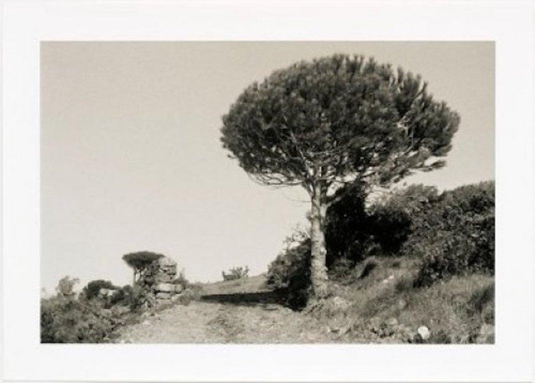Juliao Sarmento Black and White Photograph - Mod.3