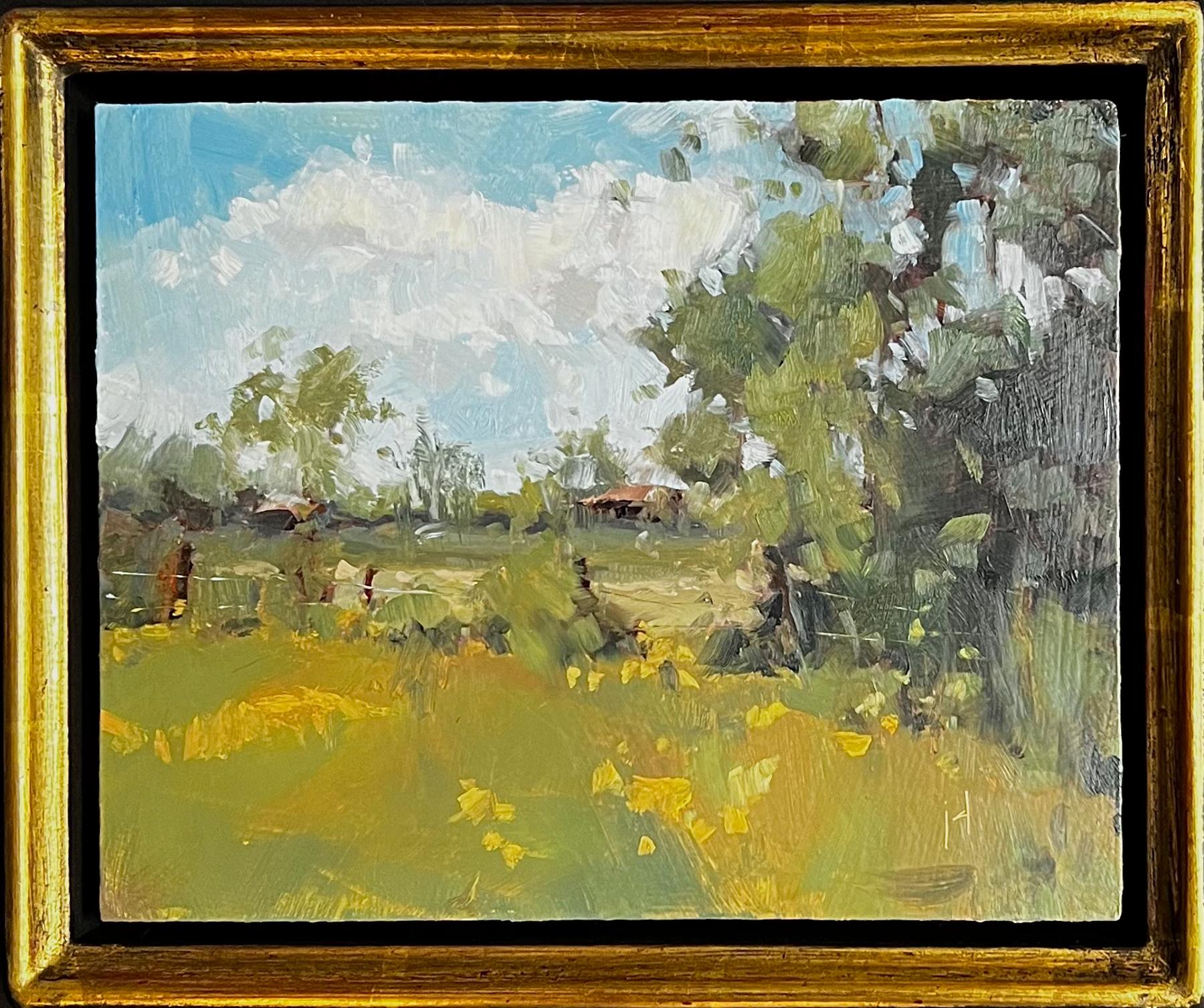 An original oil on canvas by Austin, TX based female artist Julie Davis

JULIE DAVIS
Texas Summer, 2022
Oil on Canvas
9.75 x 11.5 x .5 in
Unframed Dimensions: 8 x 10 x .25 in

Raised in the open spaces of West Texas, I remember a love of nature and