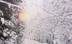 Le sentier de neige (Saint-Gilles, Qc)
