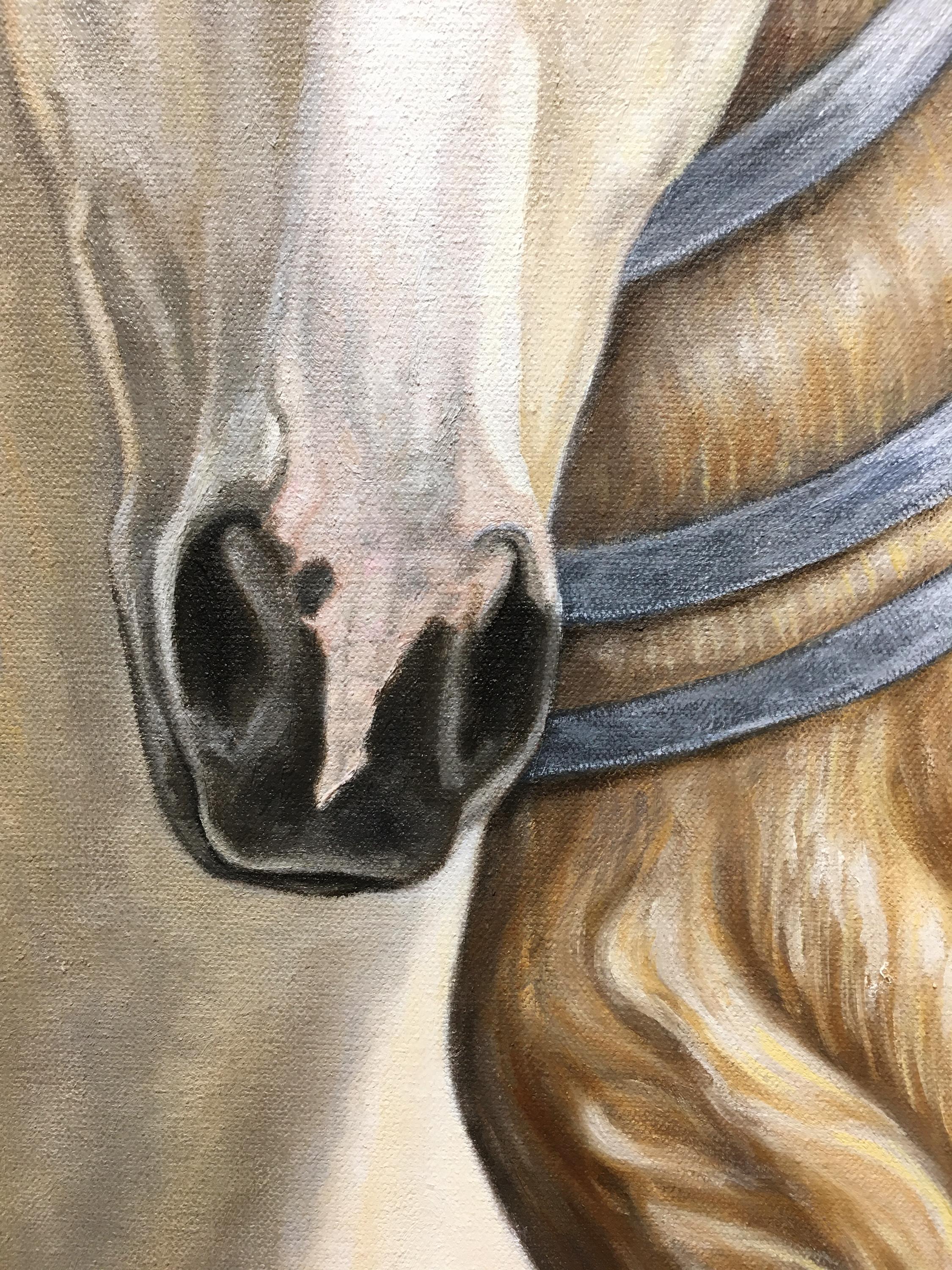 horse paintings