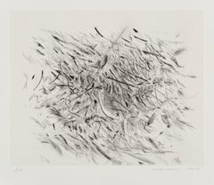 Haka -- Etching, Artists for Obama, Abstract Art by Julie Mehretu