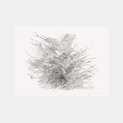 Sapphic Strophe 3 (da Sapphic Strophes: A Suite of Four Prints) stampa a rilievo