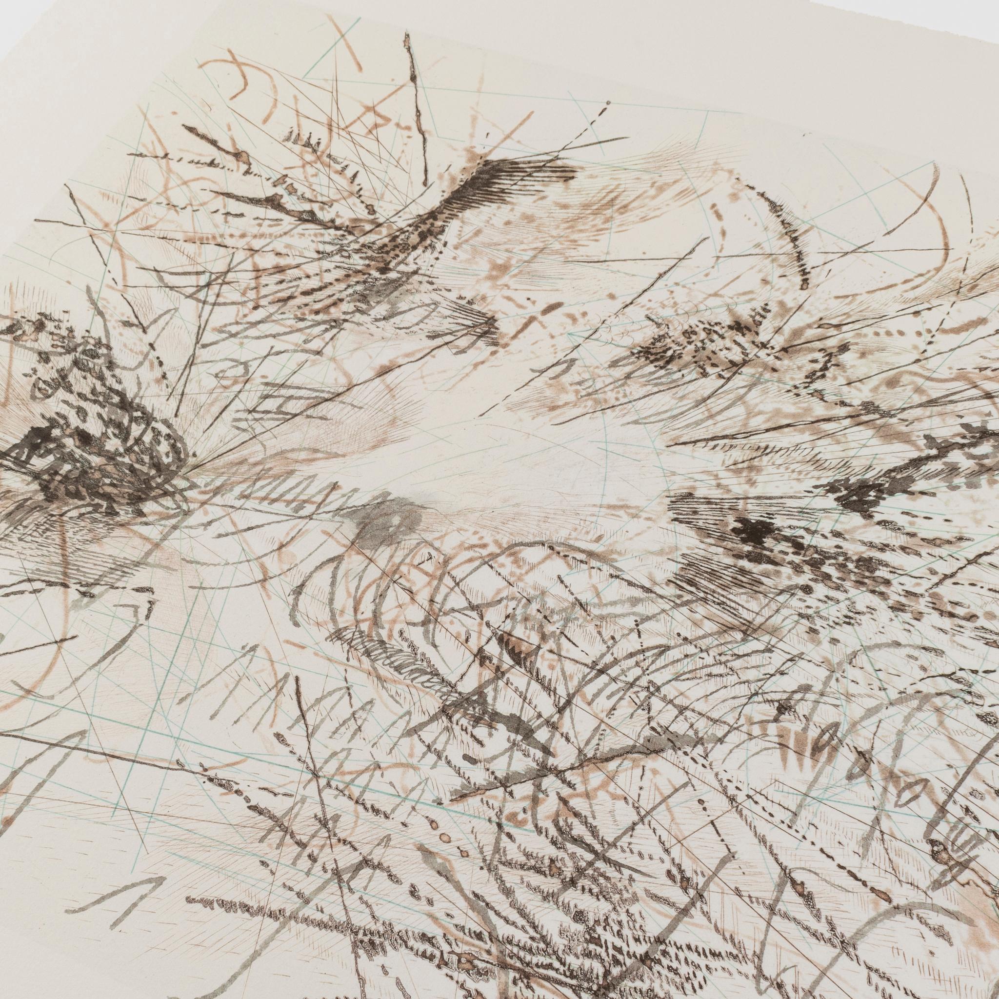 Untitled (Pulse) Impression abstraite édition limitée Julie Mehretu Lithographie en vente 2