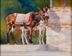 Used "MIJAS BURRO TAXI" - SPAIN 