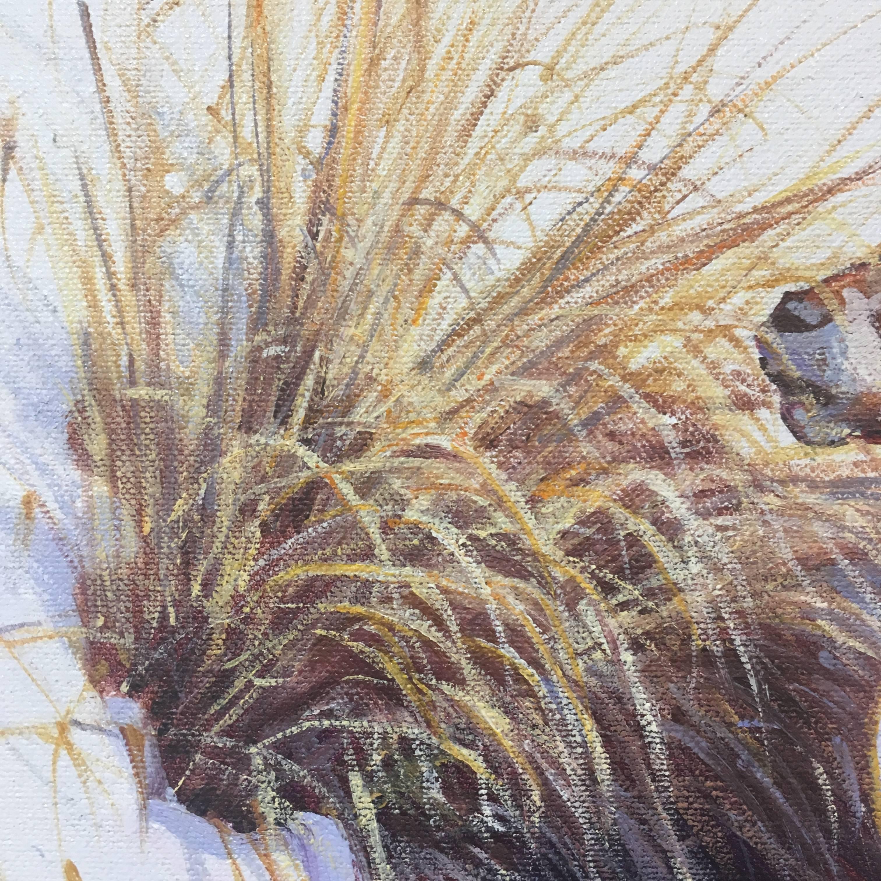 This is an oil painting of a ram by Julie Chapman. The ram is standing in the snow as it investigates a patch of brown, tall grass. A blue shadow is cast from its body and falls on mutually the plant and snow. This painting is set in a golden wood
