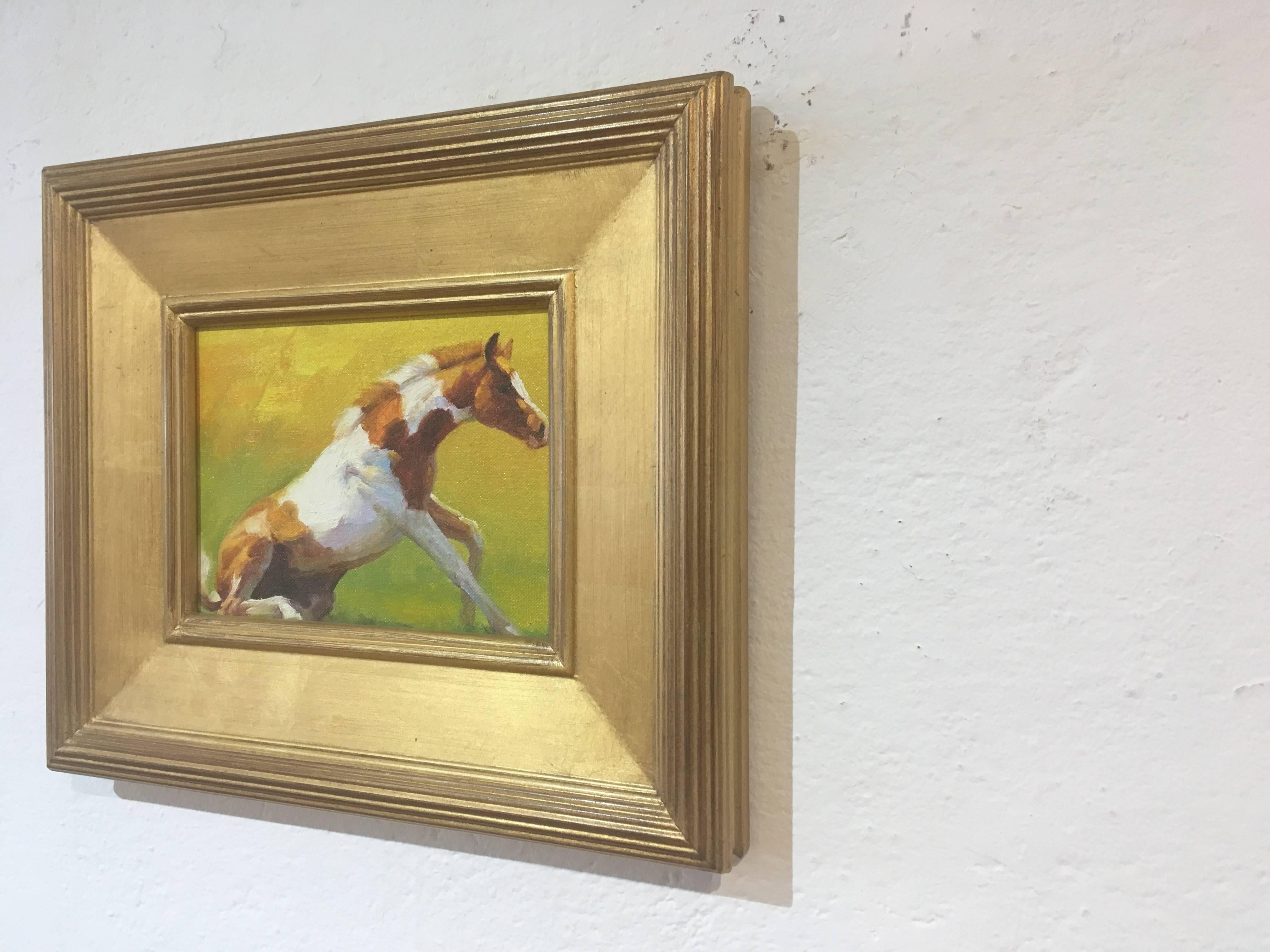 This is an oil painting of a paint pony foal by Julie Chapman. The tan and white foal is in the middle of standing up. The paint pony is in a warm dreamy field that is a light, warm green that turns to yellow. This painting is placed in a golden,