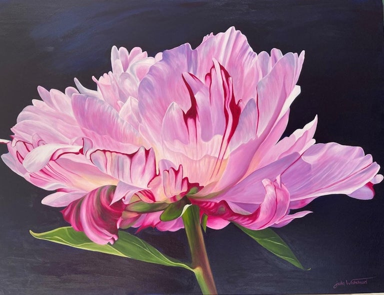 julie whitehead Peony Study flower composition still life original artwork realism natural