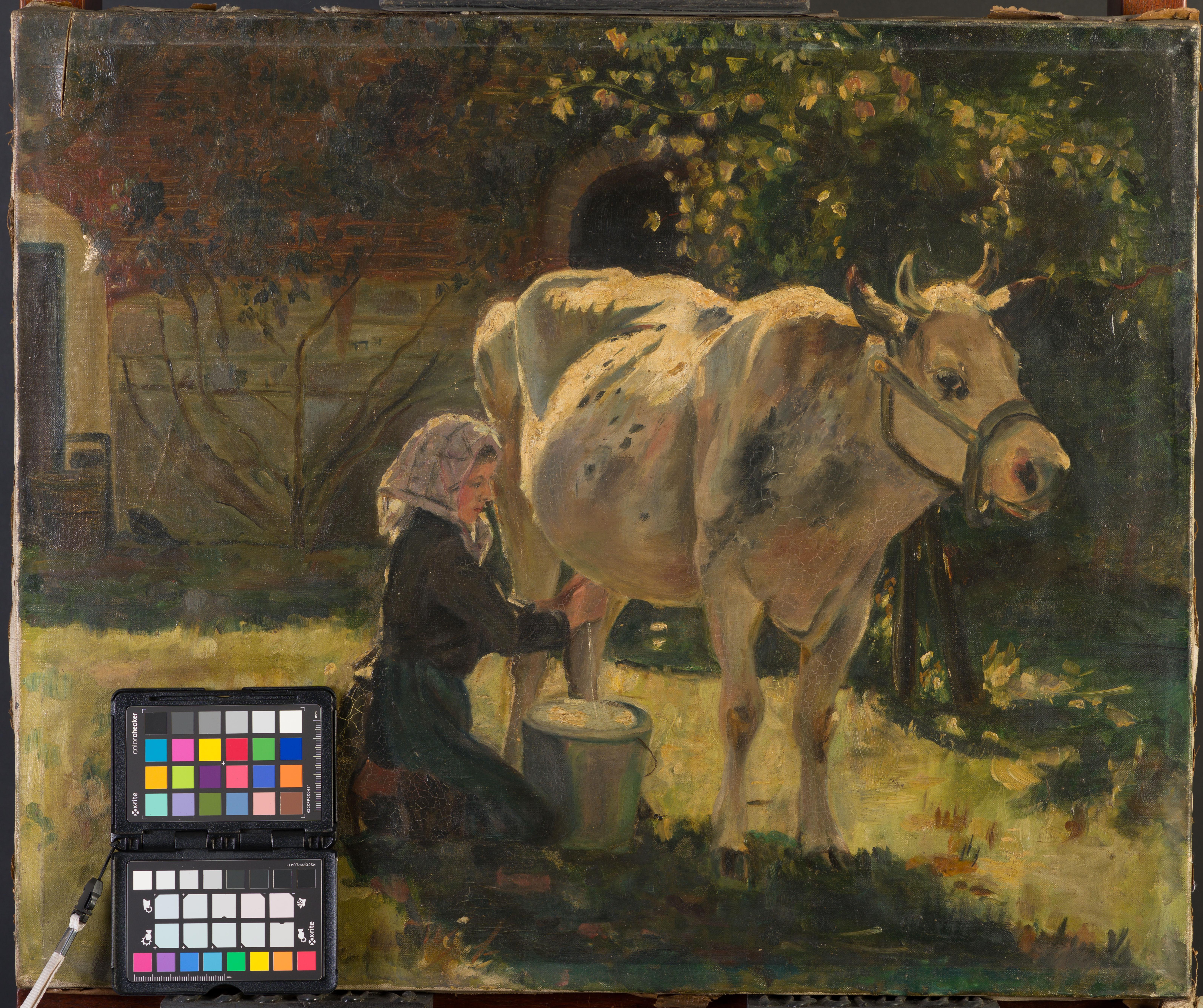 La mucca bianca - Painting di Julien Dupre