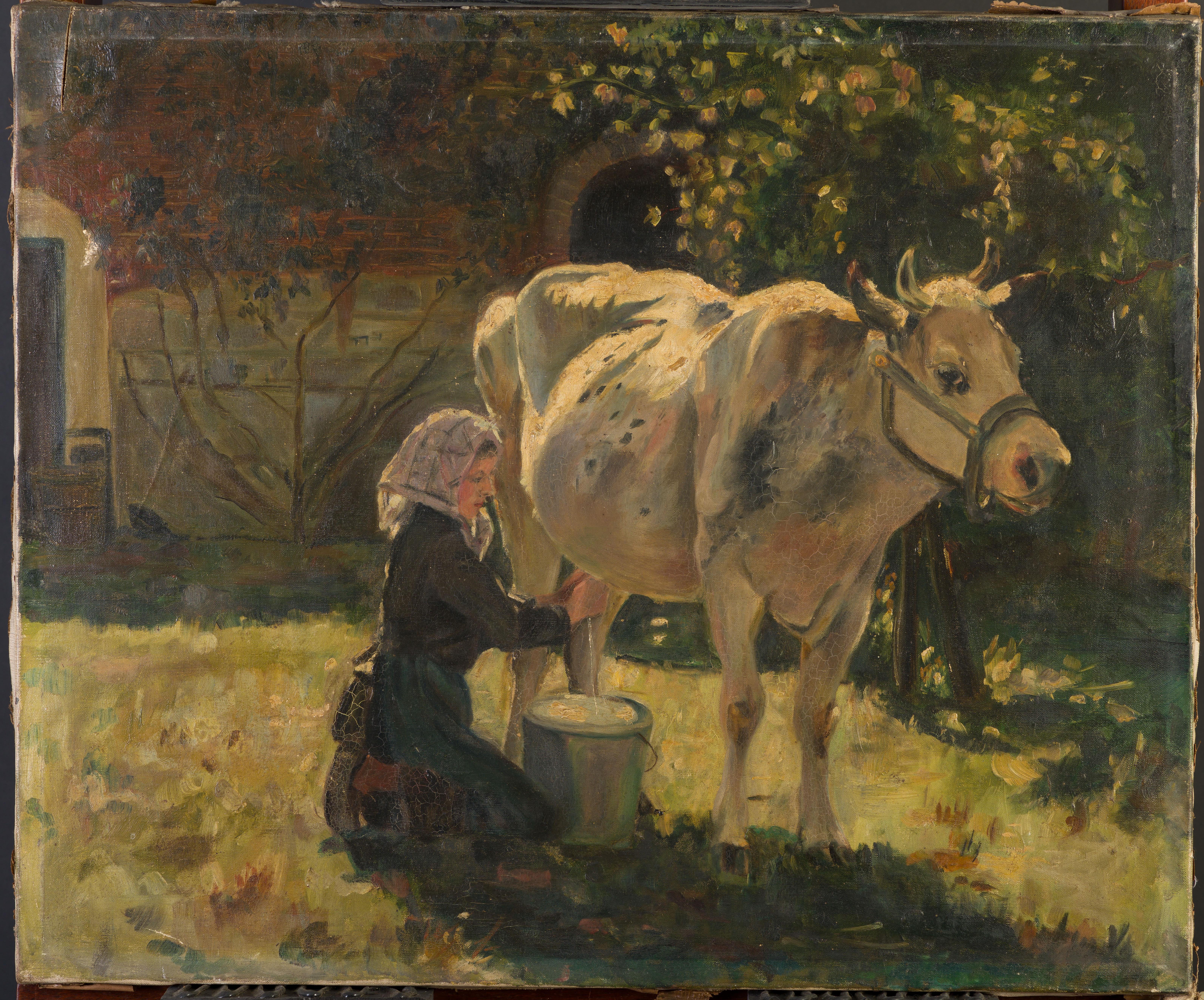 La mucca bianca - Animal Painting Nero di Julien Dupre