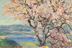 Almond tree in bloom in Gassin