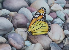 « Mariposa Monarca / Monarch butterfly ». Contemporary, Realism, animal, figurativ