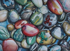 "Ranas / Grenouilles". Contemporary, Realism, animal, figurative, hyperrealist