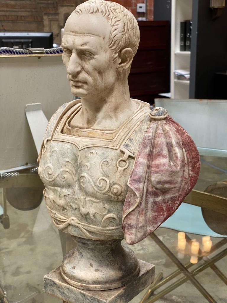cato the younger bust
