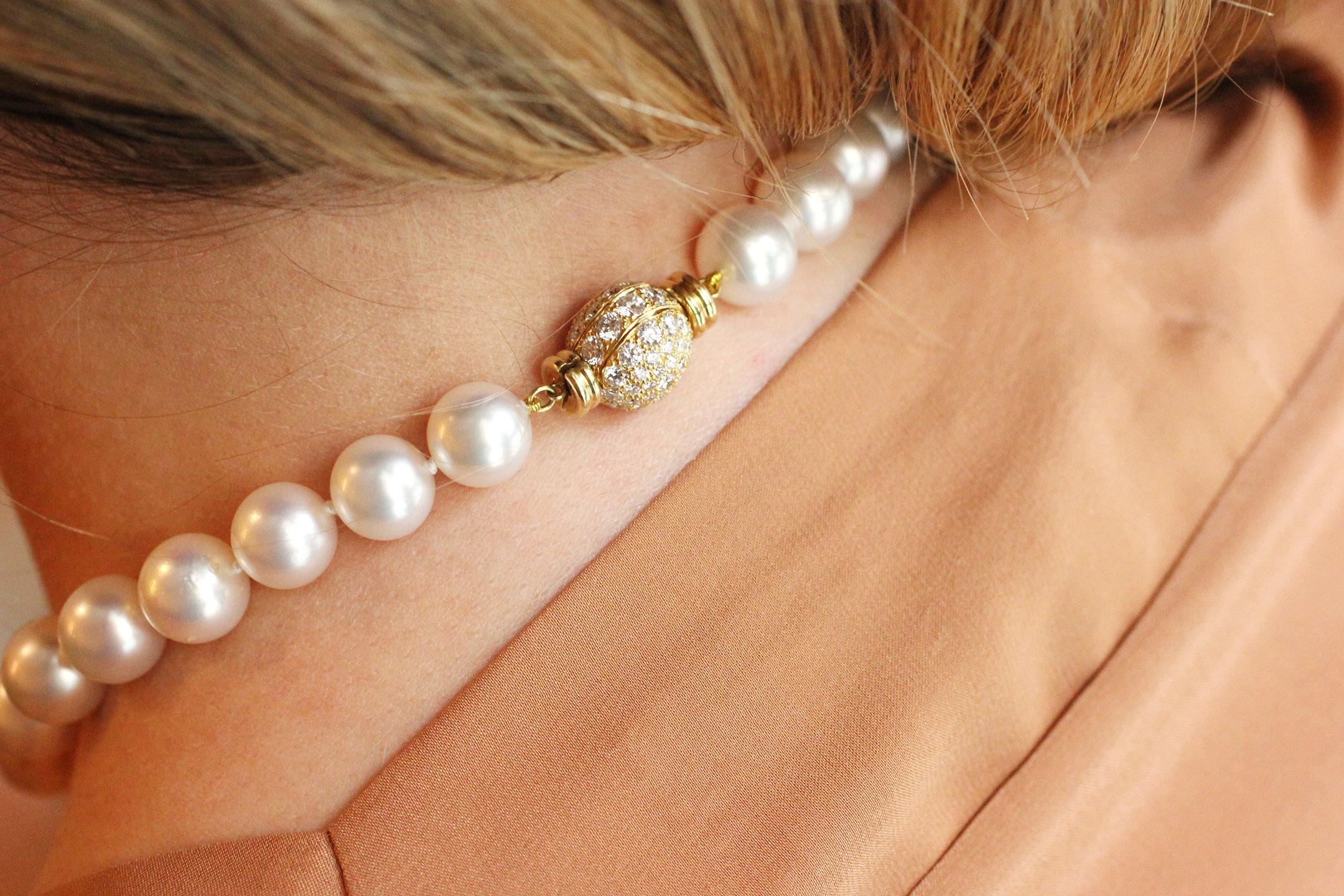 Women's Julius Cohen South Sea Cultured Pearl Necklace