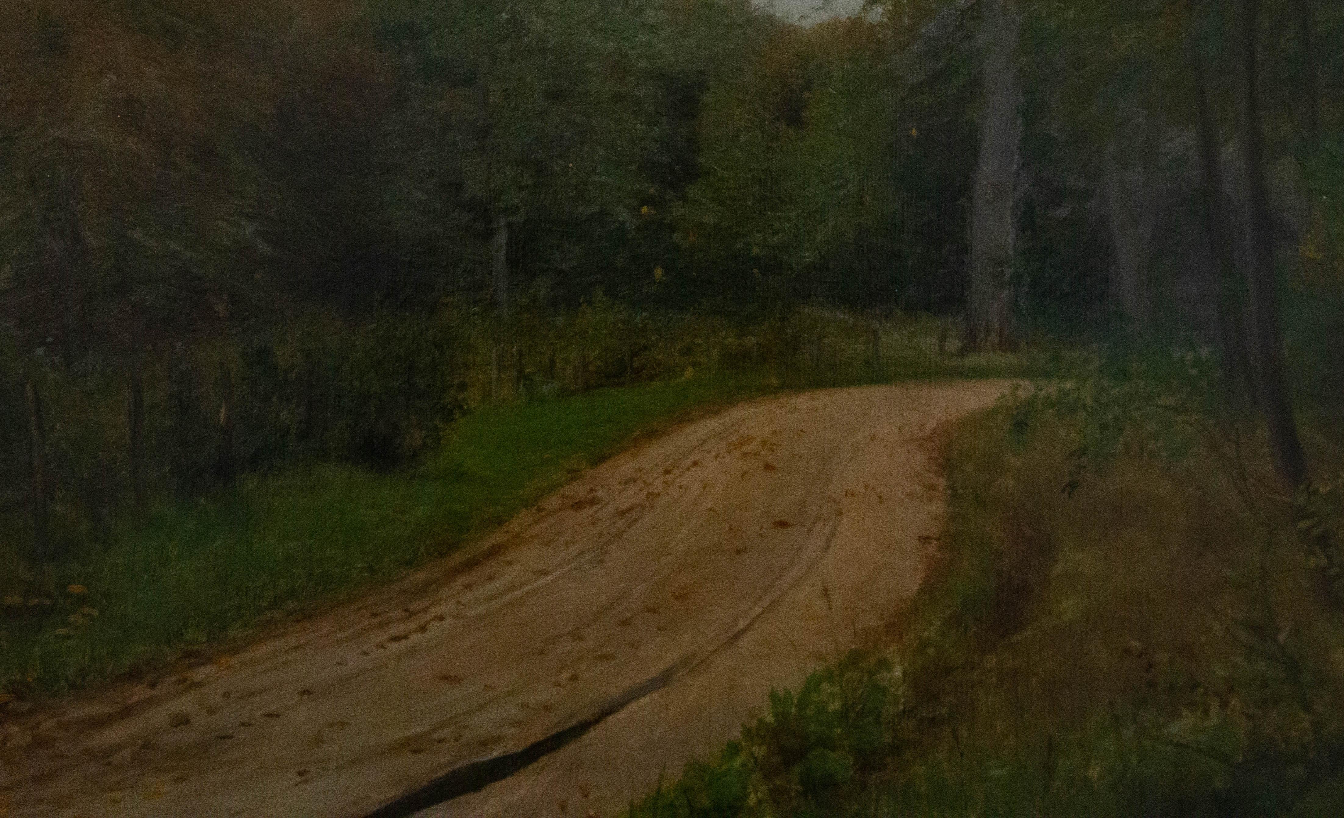 Julius Petersen (1851-1911) - 1904 Olio, Sentiero nel bosco in vendita 2