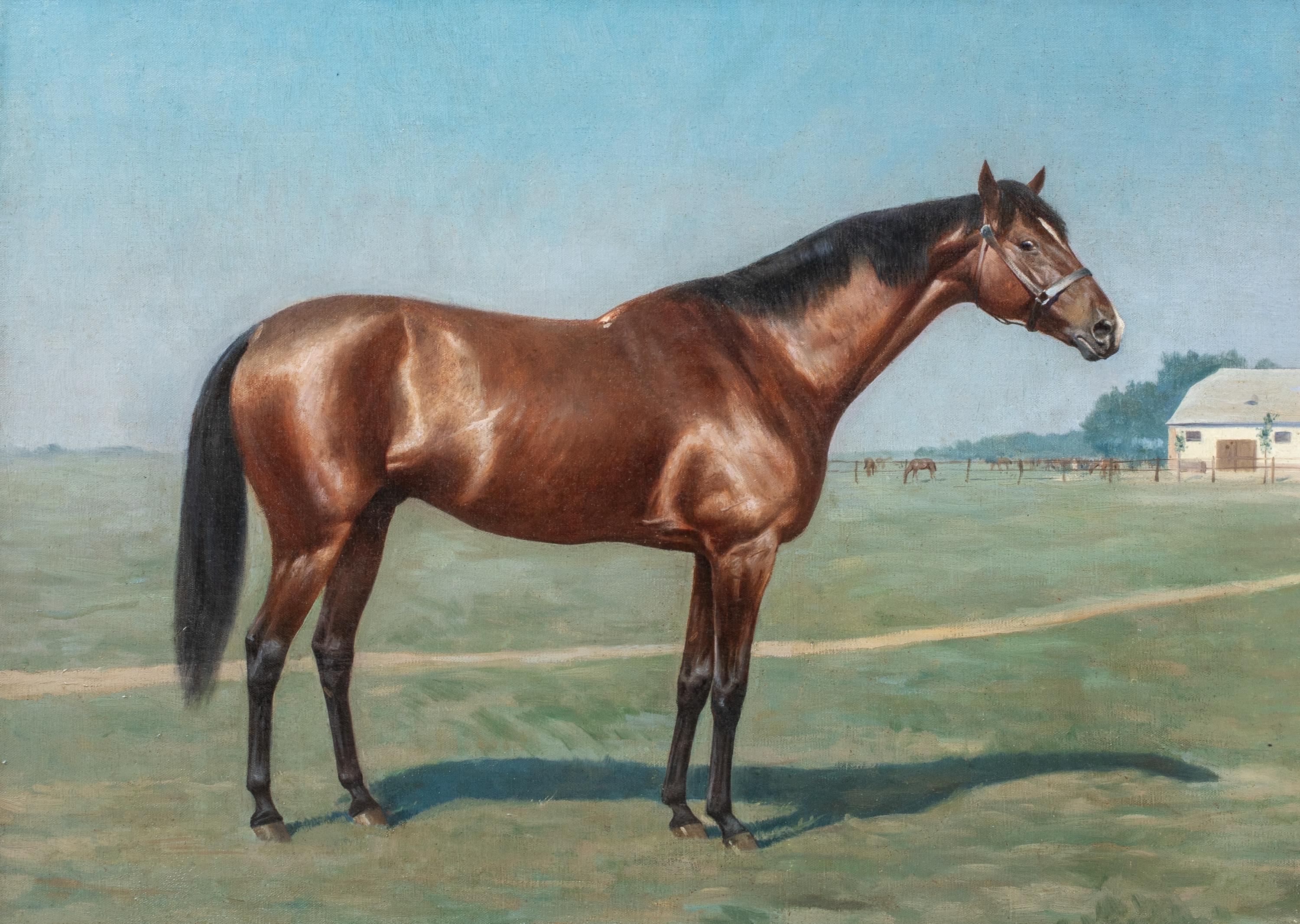 Ritratto di un cavallo baio 