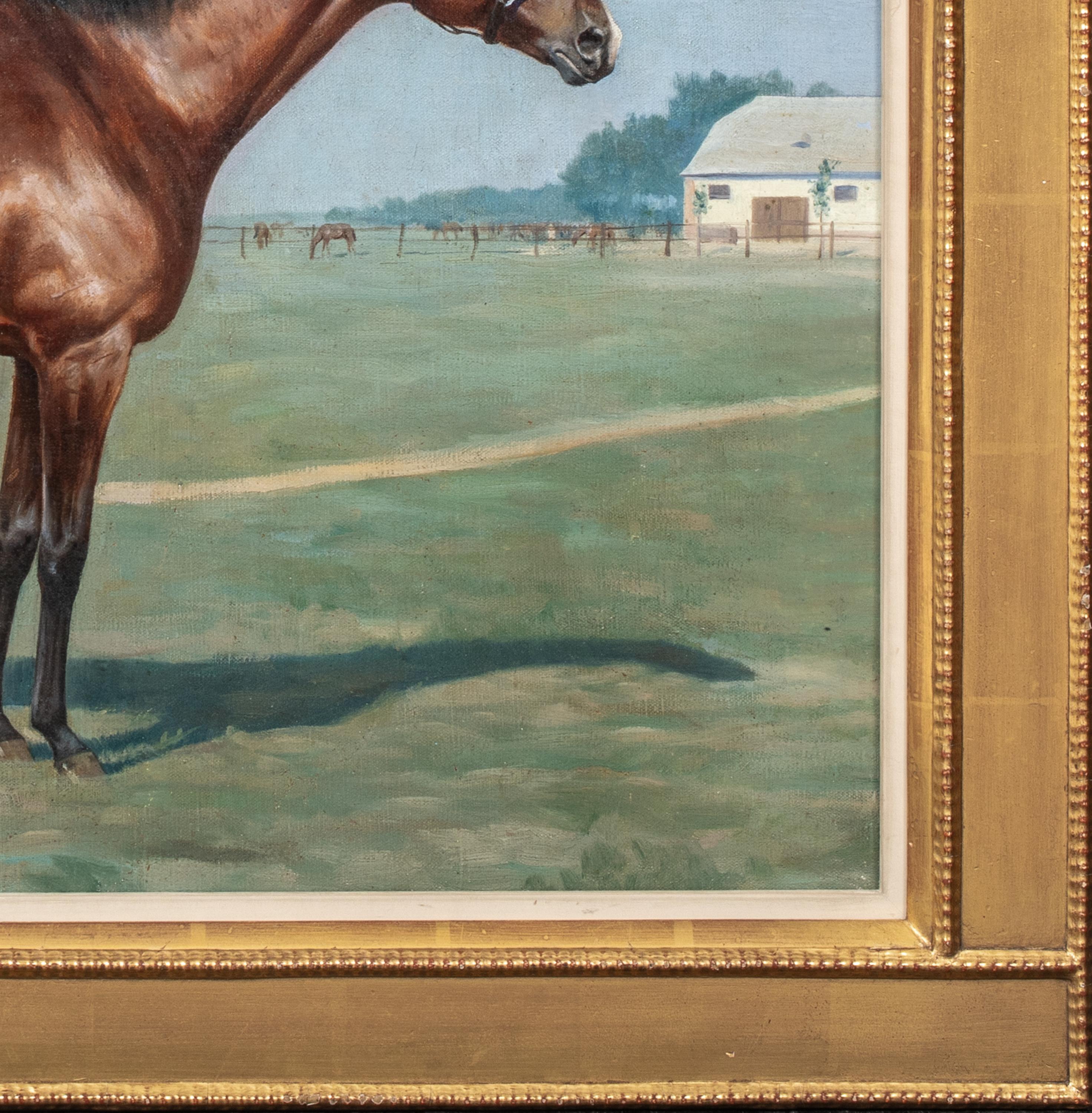 Ritratto di un cavallo baio 