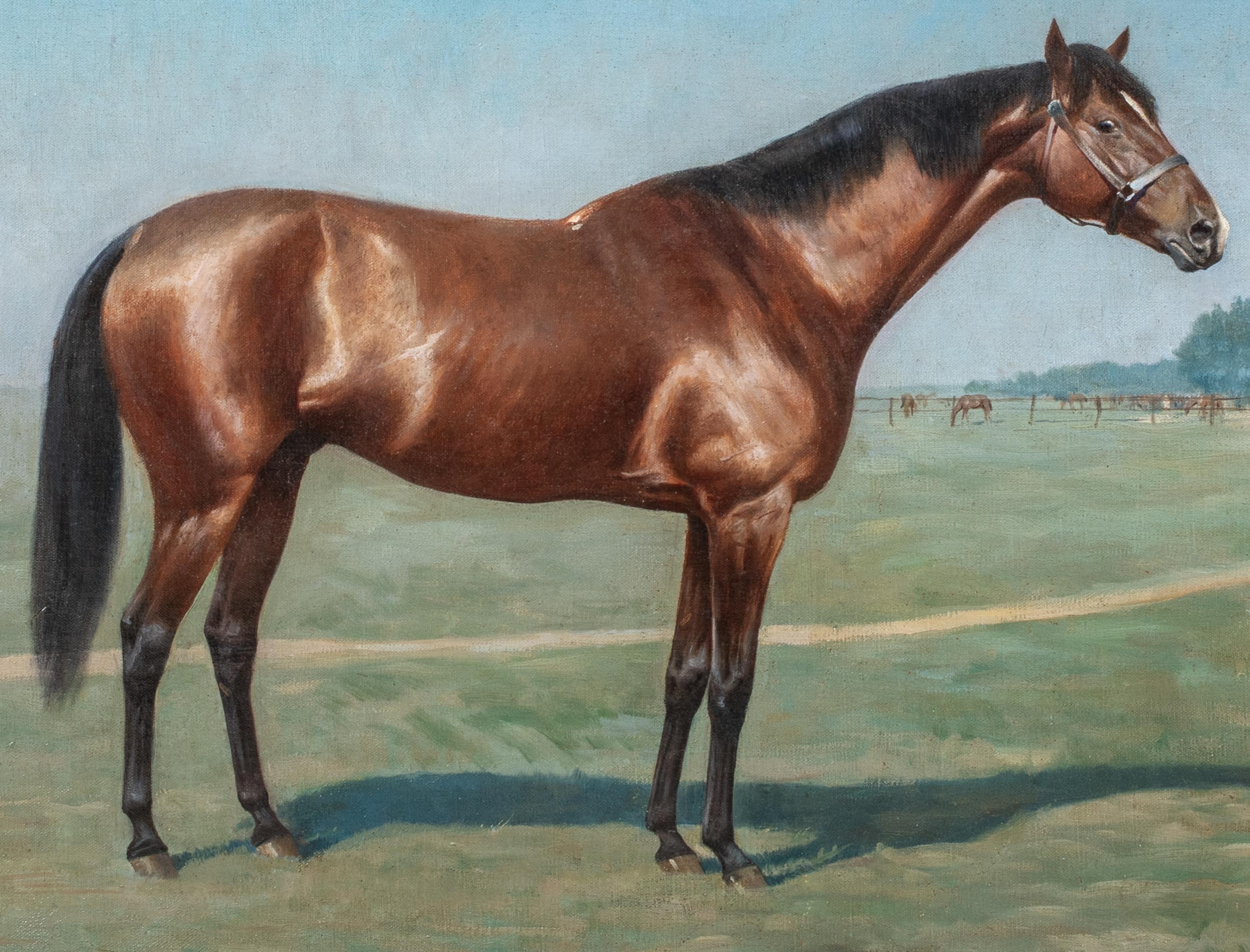 Ritratto di un cavallo baio 