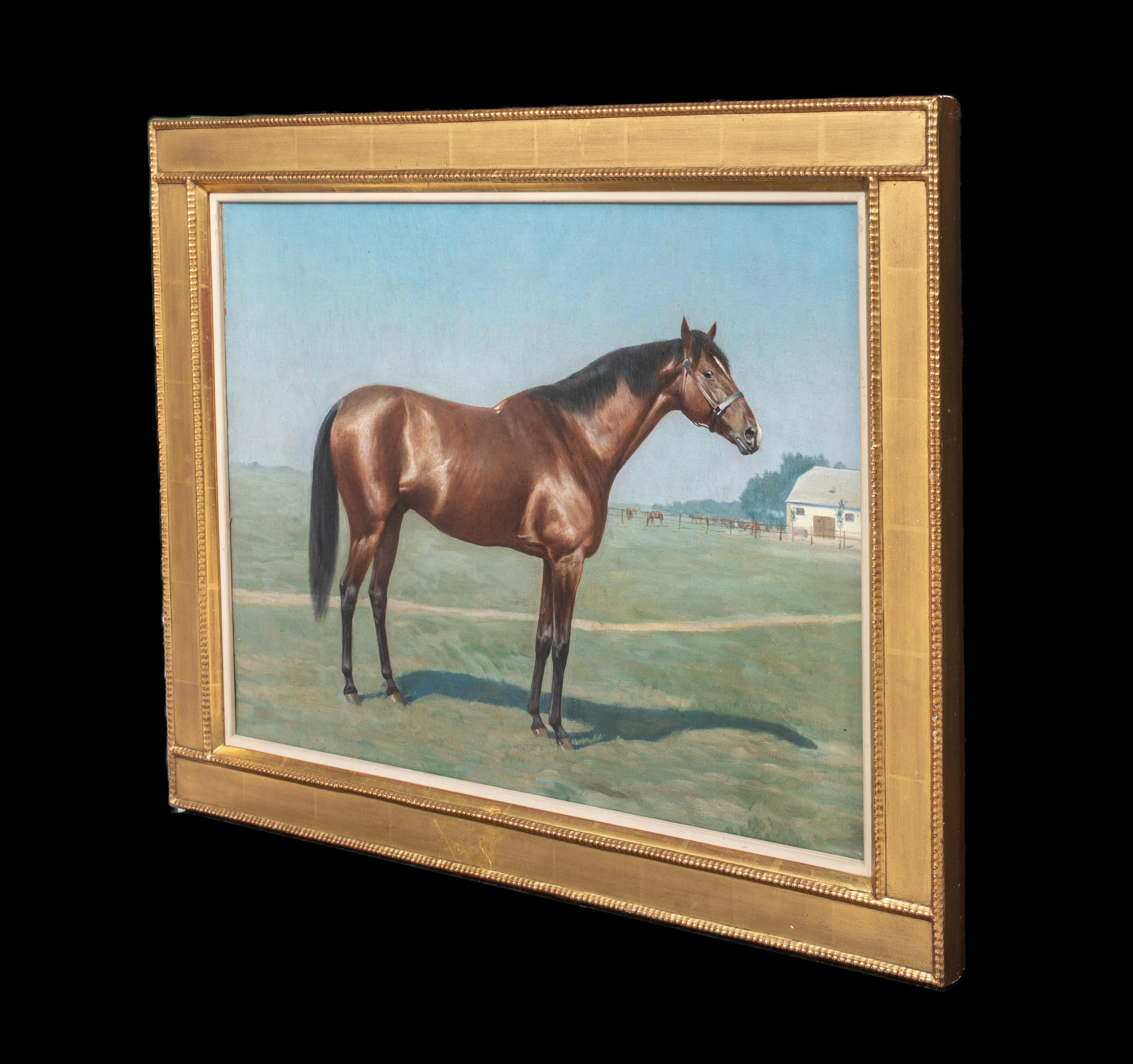 Ritratto di un cavallo baio 