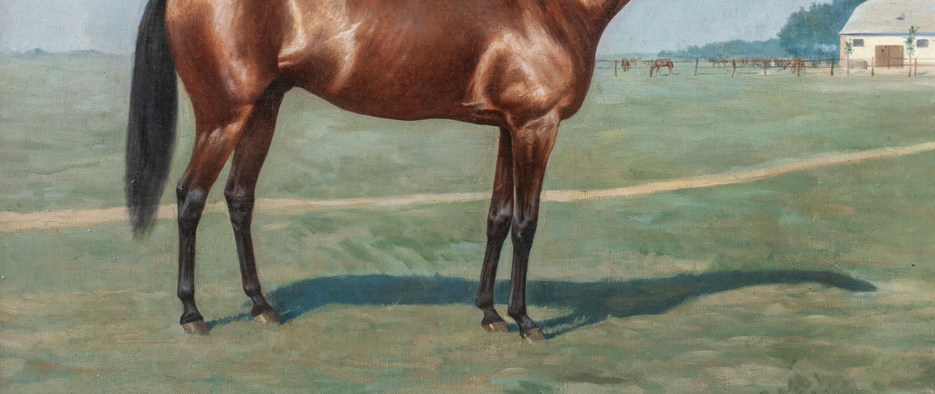Ritratto di un cavallo baio 