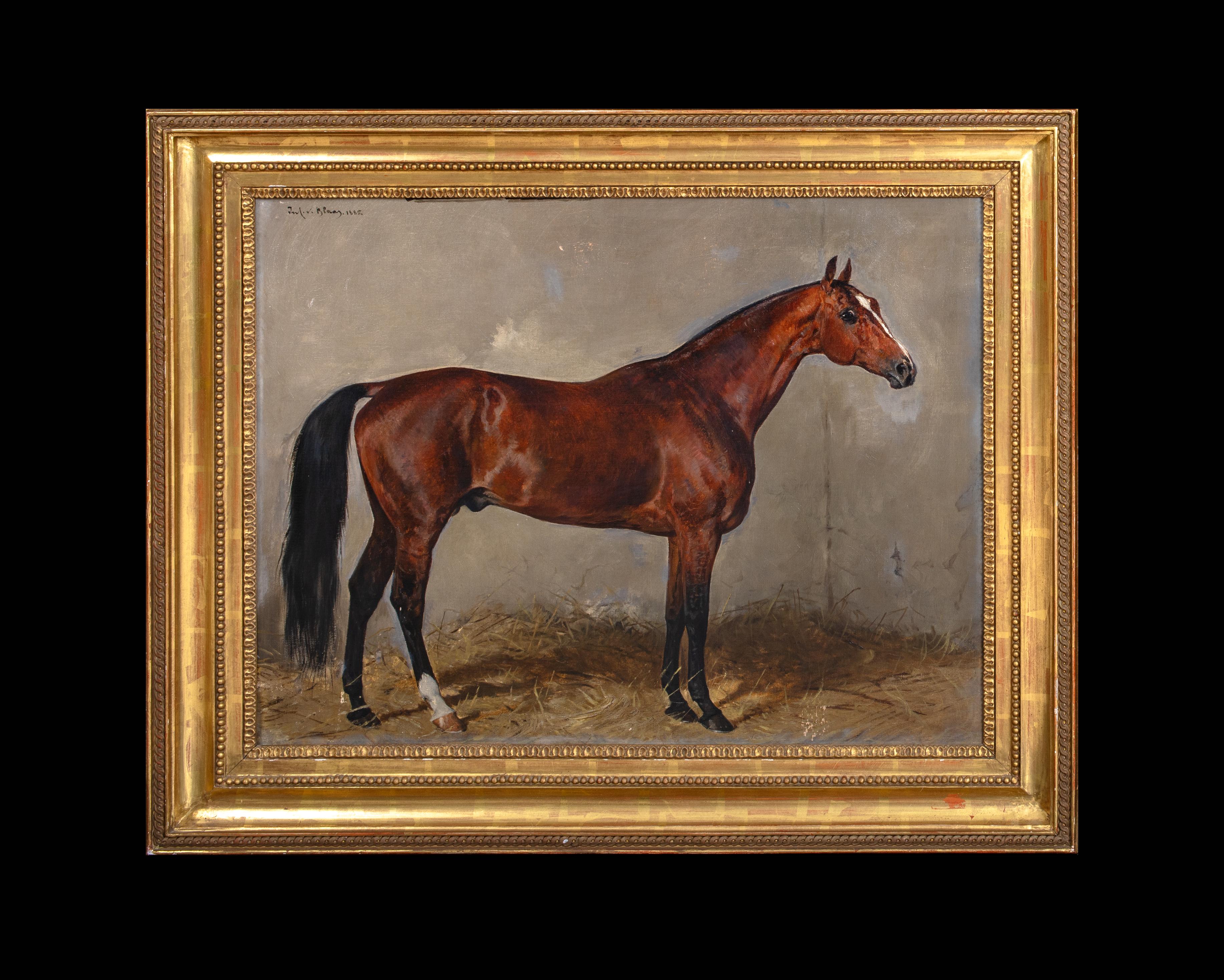 Ritratto del cavallo castagno Cavallo preferito da Franz Joseph I d'Austria - Painting di Julius von Blaas