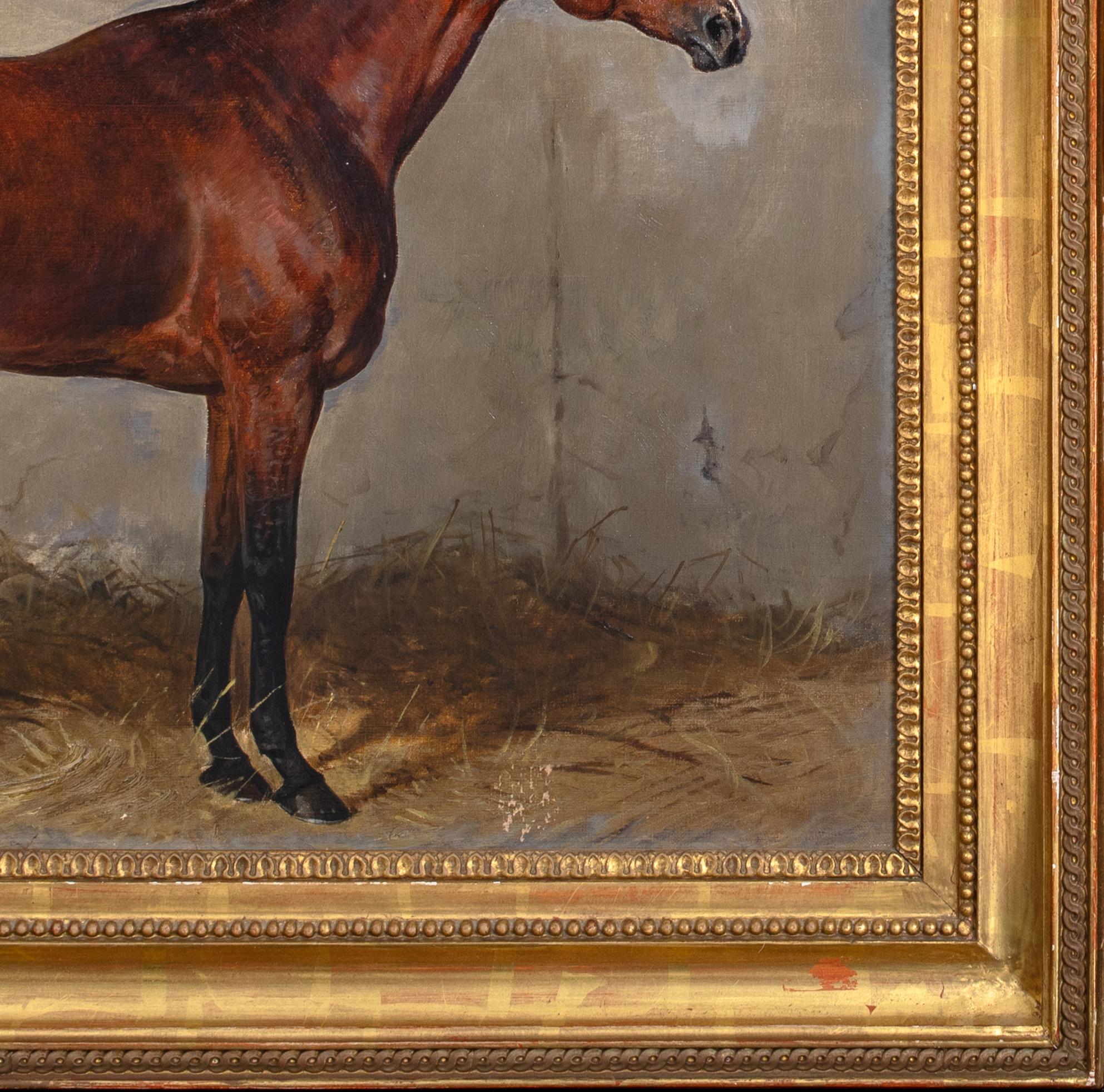 Ritratto del cavallo castagno Cavallo preferito da Franz Joseph I d'Austria 1