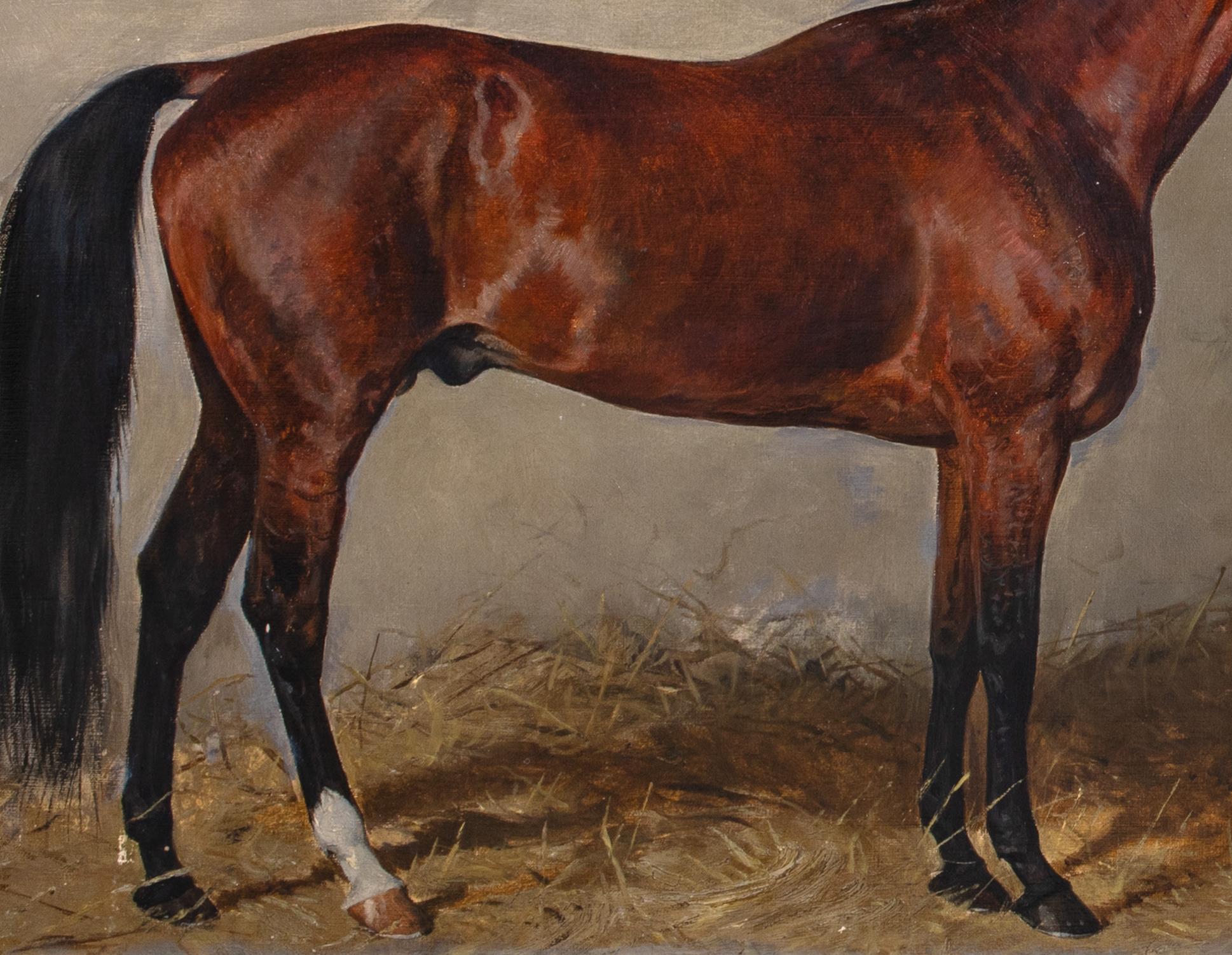 Ritratto del cavallo castagno Cavallo preferito da Franz Joseph I d'Austria 4