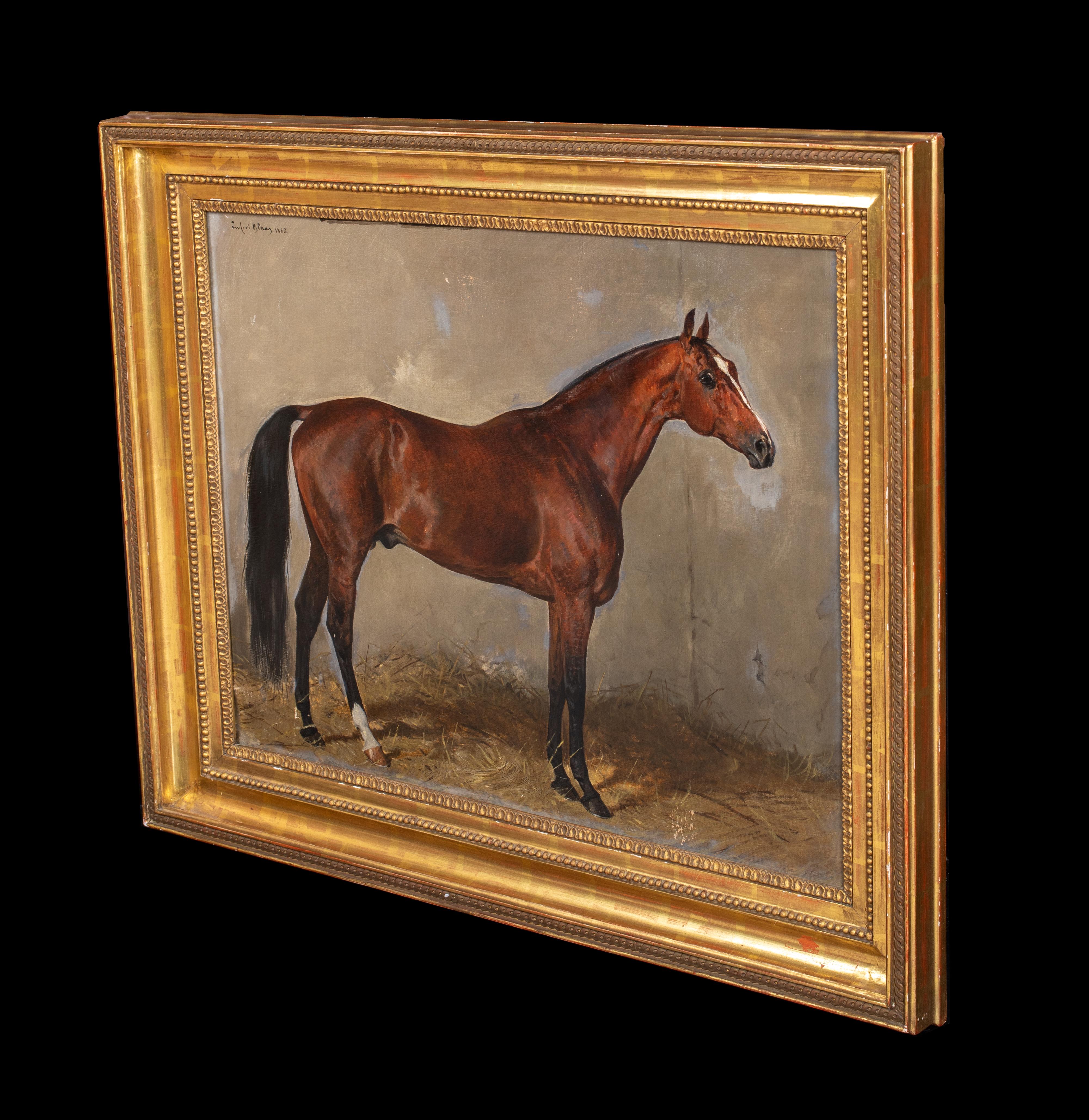 Ritratto del cavallo castagno Cavallo preferito da Franz Joseph I d'Austria 6