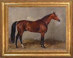 Ritratto del cavallo castagno Cavallo preferito da Franz Joseph I d'Austria