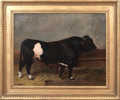 Portrait Of Holstein Bull, 19th Century   by Julius von Blaas (1845-1922)