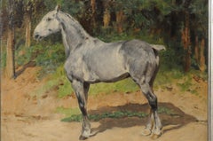 Schimmel / White Horse