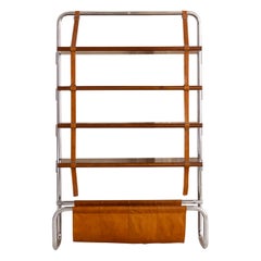 Jumbo bookcase by Luigi Massoni for Poltrona Frau, Italy 1970