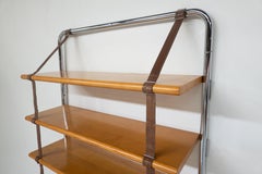 Jumbo Bookcase by Luigi Massoni for Poltrona Frau, Italy, 1970s