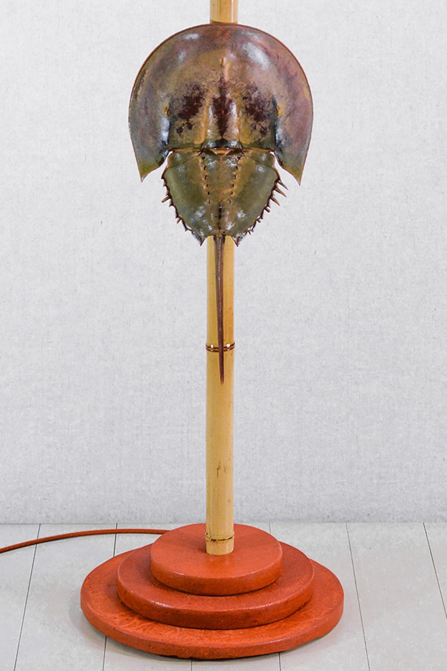 Art Deco Jumbo Horseshoe Crab Lamp with Antique Parasol Shade by Christopher Tennant For Sale