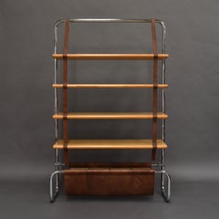 Jumbo Line Bookcase by Luigi Massoni for Poltrona Frau, Italy, 1971