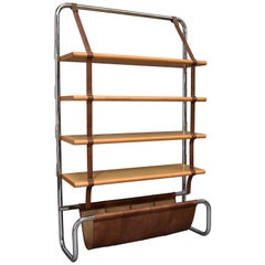 Vintage Jumbo Line Bookcase by Luigi Massoni for Poltrona Frau, Italy, 1971